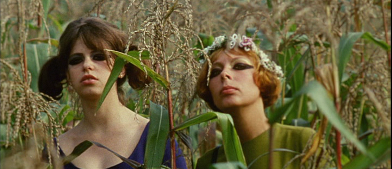 ХОНИН НҮДЭН ЦЭЦЭГС (1966)